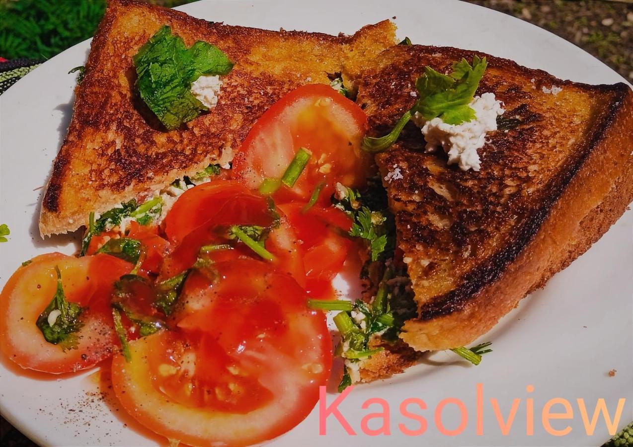 Kasol View Hotel Bagian luar foto